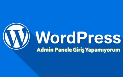 wordpress admin panele giriş yapamıyorum