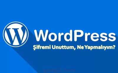 wordpress şifremi unuttum, ne yapmalıyım