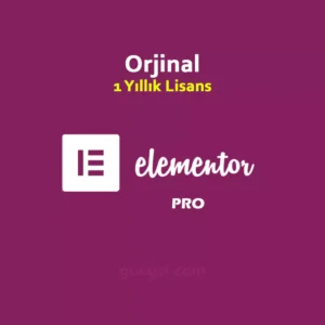 wp elementor pro lisansı