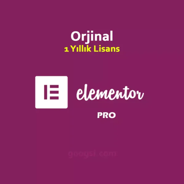 wp elementor pro lisansı